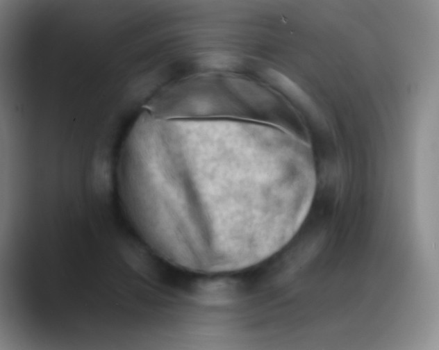 X0000088740452200706282147
