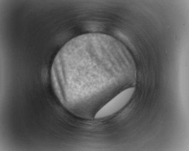 X0000088740453200706282148