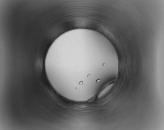 X0000088740454200706282148