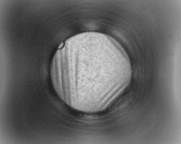 X0000088740455200706282148