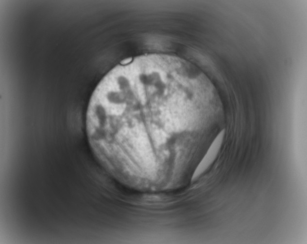 X0000088740457200706282148