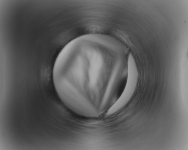 X0000088740458200706282148