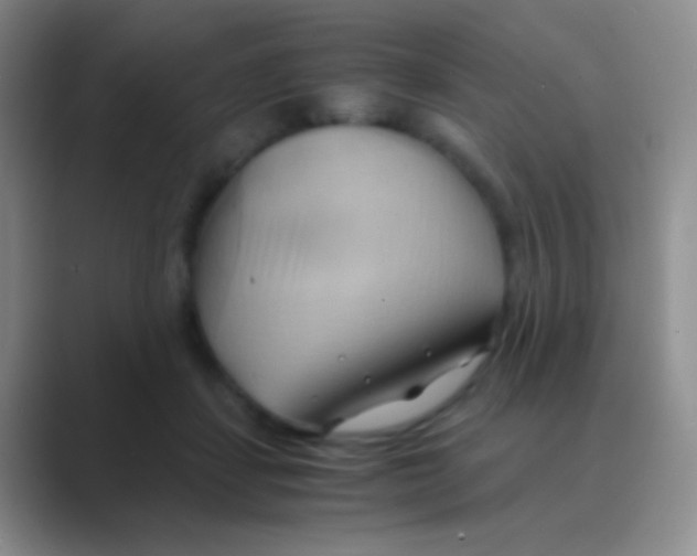 X0000088740459200706282148