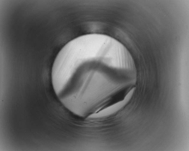 X0000088740461200706282148