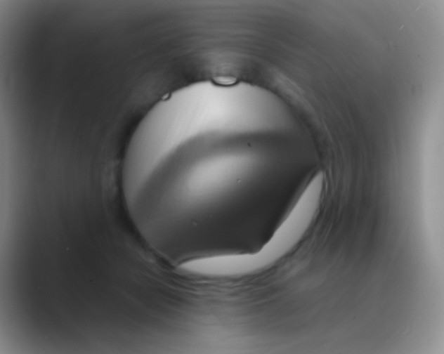 X0000088740462200706282148