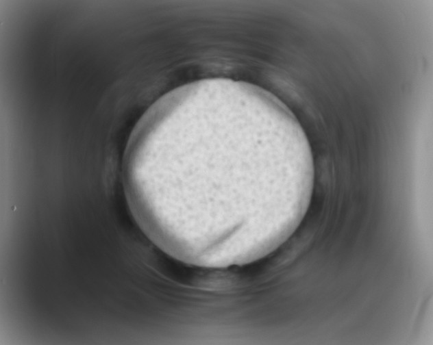 X0000088740463200706282148