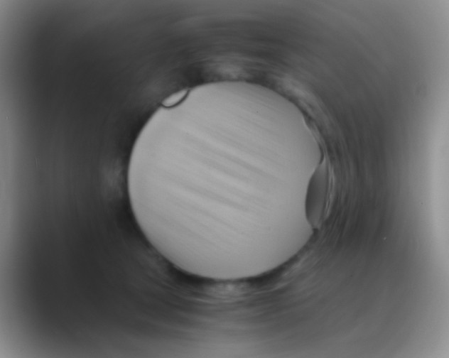 X0000088740465200706282148