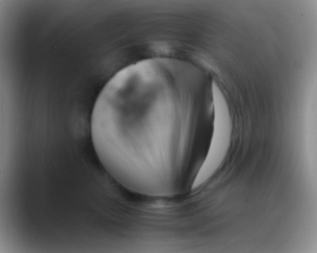 X0000088740467200706282148