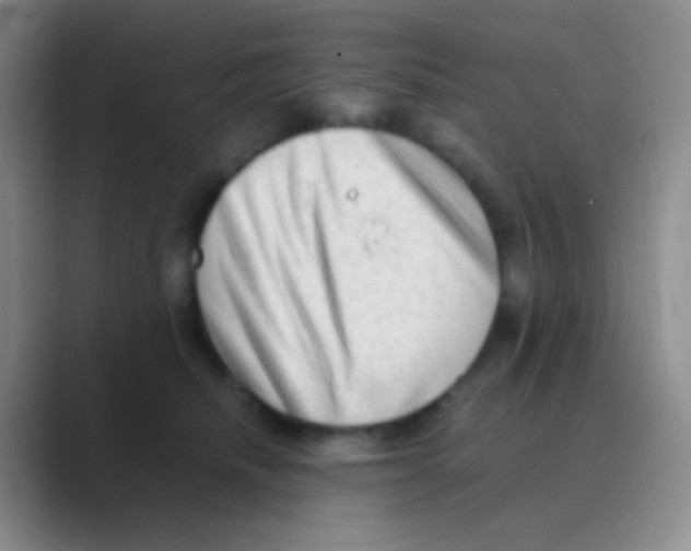 X0000088740468200706282148