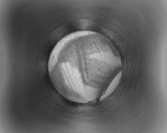X0000088740470200706282148