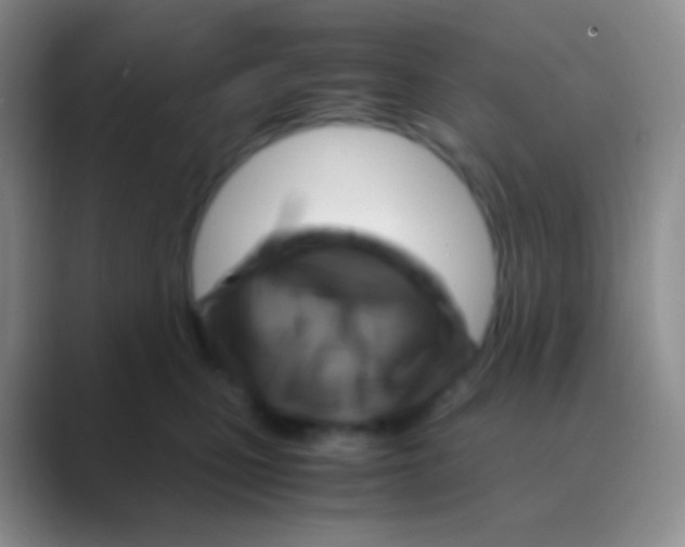 X0000088740471200706282148