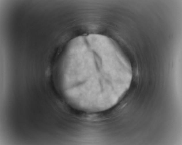 X0000088740472200706282148