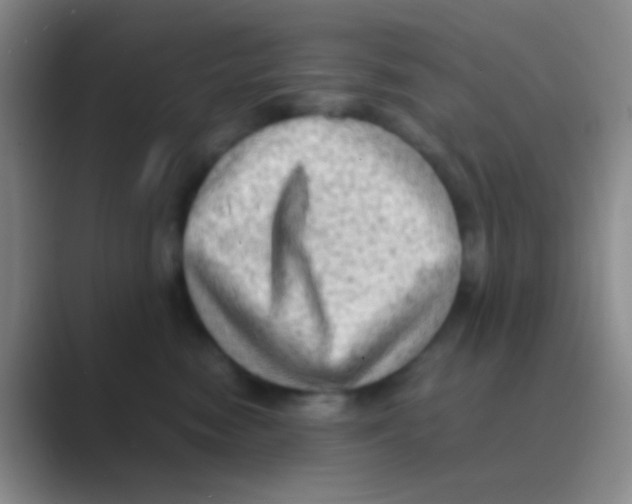 X0000088740474200706282148