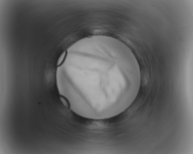 X0000088740475200706282148