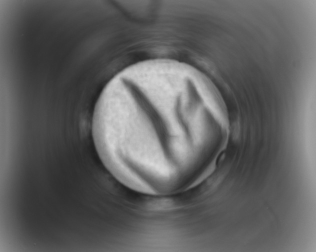 X0000088740476200706282148