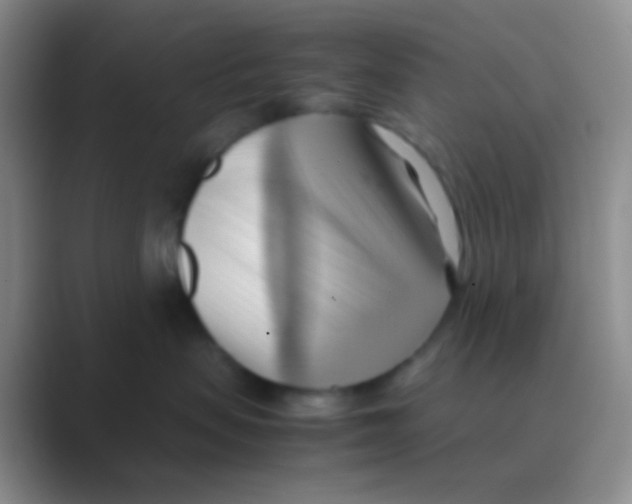 X0000088740479200706282148