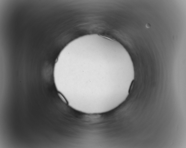 X0000088740480200706282148