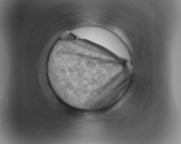 X0000088740481200706282147