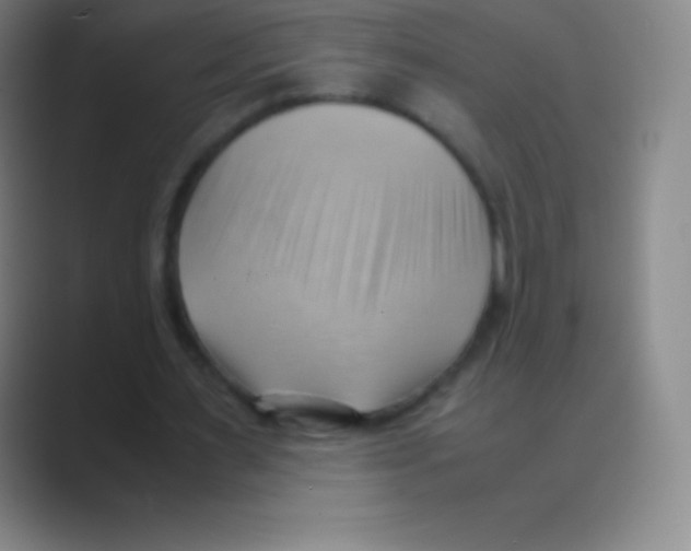 X0000088740483200706282147