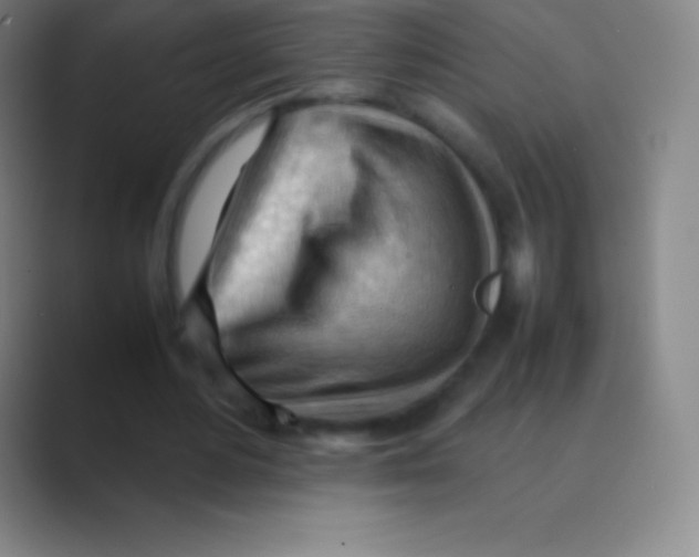 X0000088740484200706282147