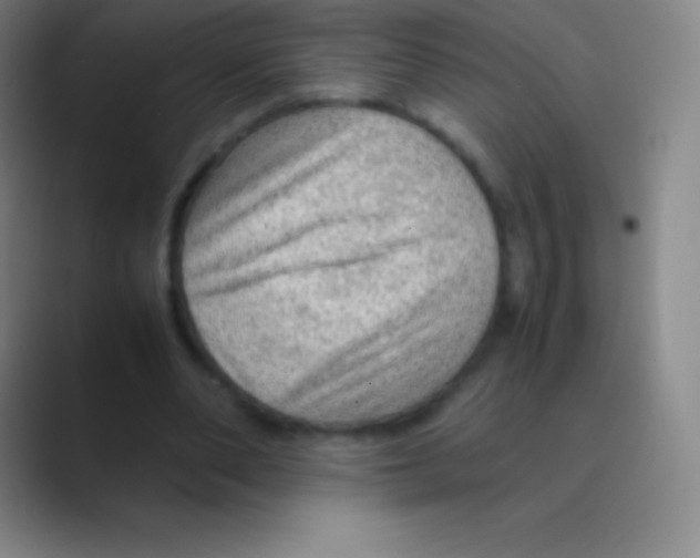 X0000088740486200706282147