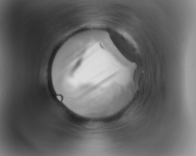 X0000088740487200706282147