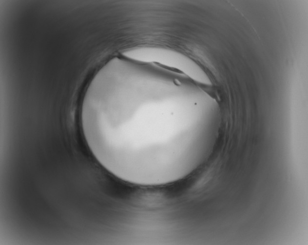 X0000088740491200706282147