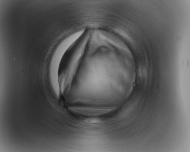 X0000088740492200706282147