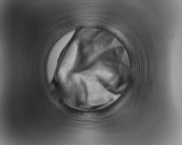 X0000088740493200706282147