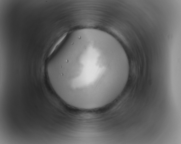 X0000088740494200706282147