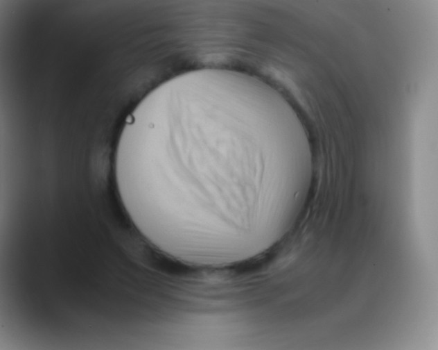 X0000088740495200706282147