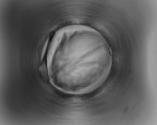 X0000088740496200706282147