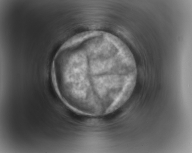 X0000088740499200706282147