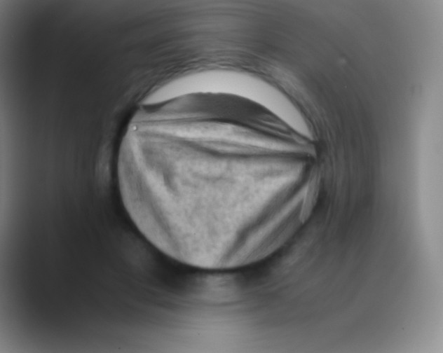 X0000088740501200706282147