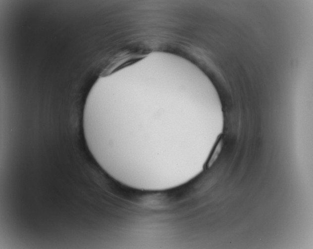 X0000088740505200706282147