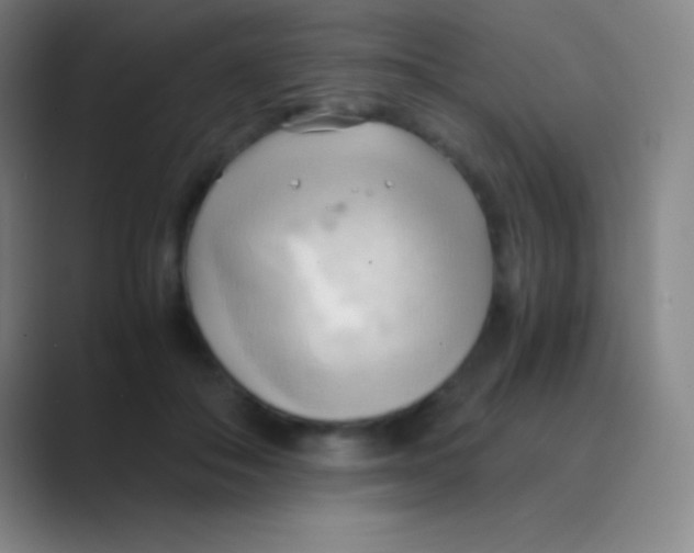 X0000088740506200706282147