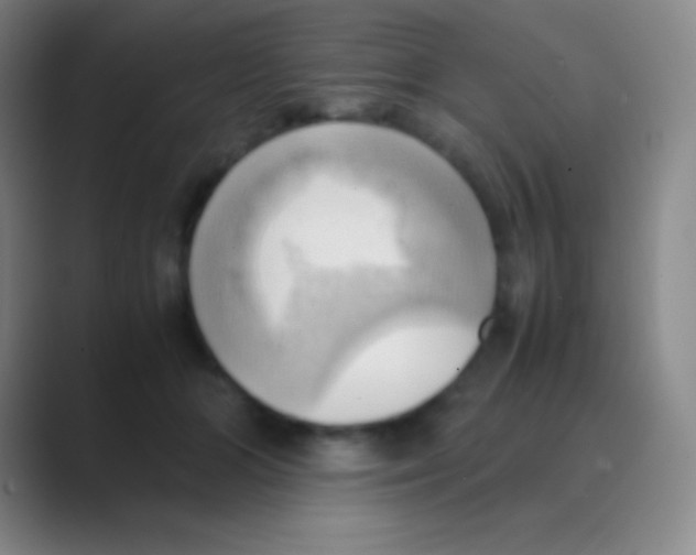 X0000088740510200706282147
