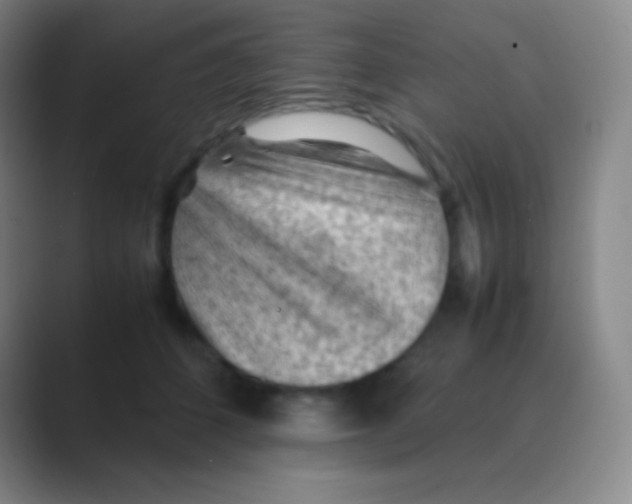 X0000088740512200706282147