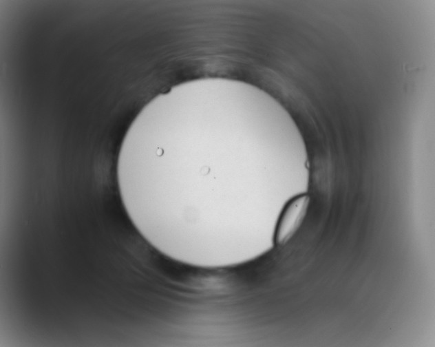 X0000088740514200706282147