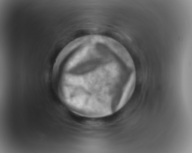 X0000088740515200706282147