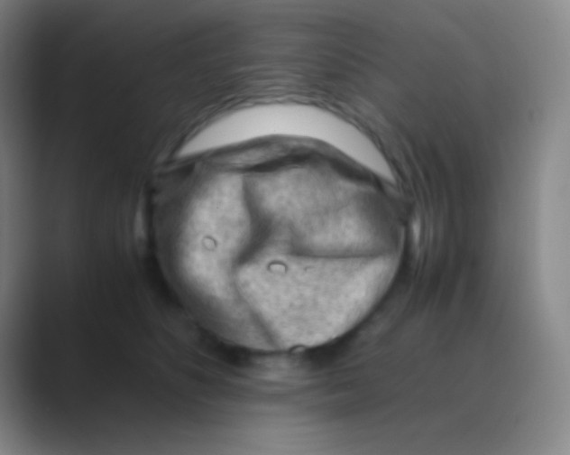 X0000088740516200706282147