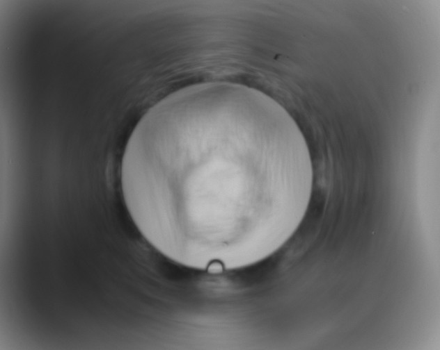 X0000088740519200706282147
