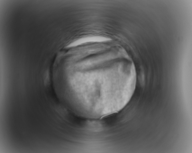 X0000088740520200706282147