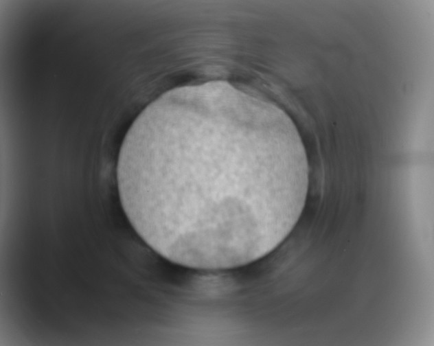 X0000088740521200706282147