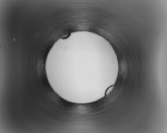 X0000088740522200706282147