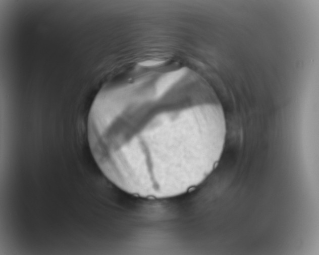 X0000088740523200706282147