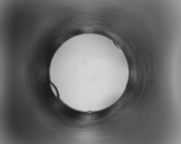 X0000088740525200706282147
