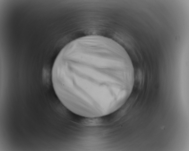 X0000088740526200706282147