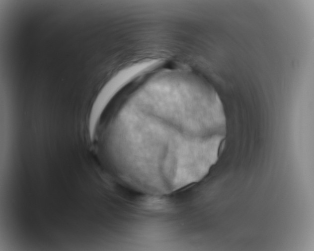 X0000088740528200706282147
