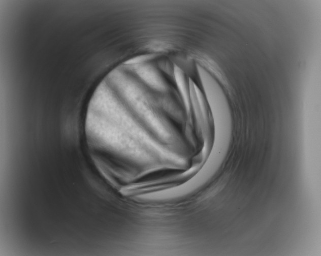 X0000088740530200706282146